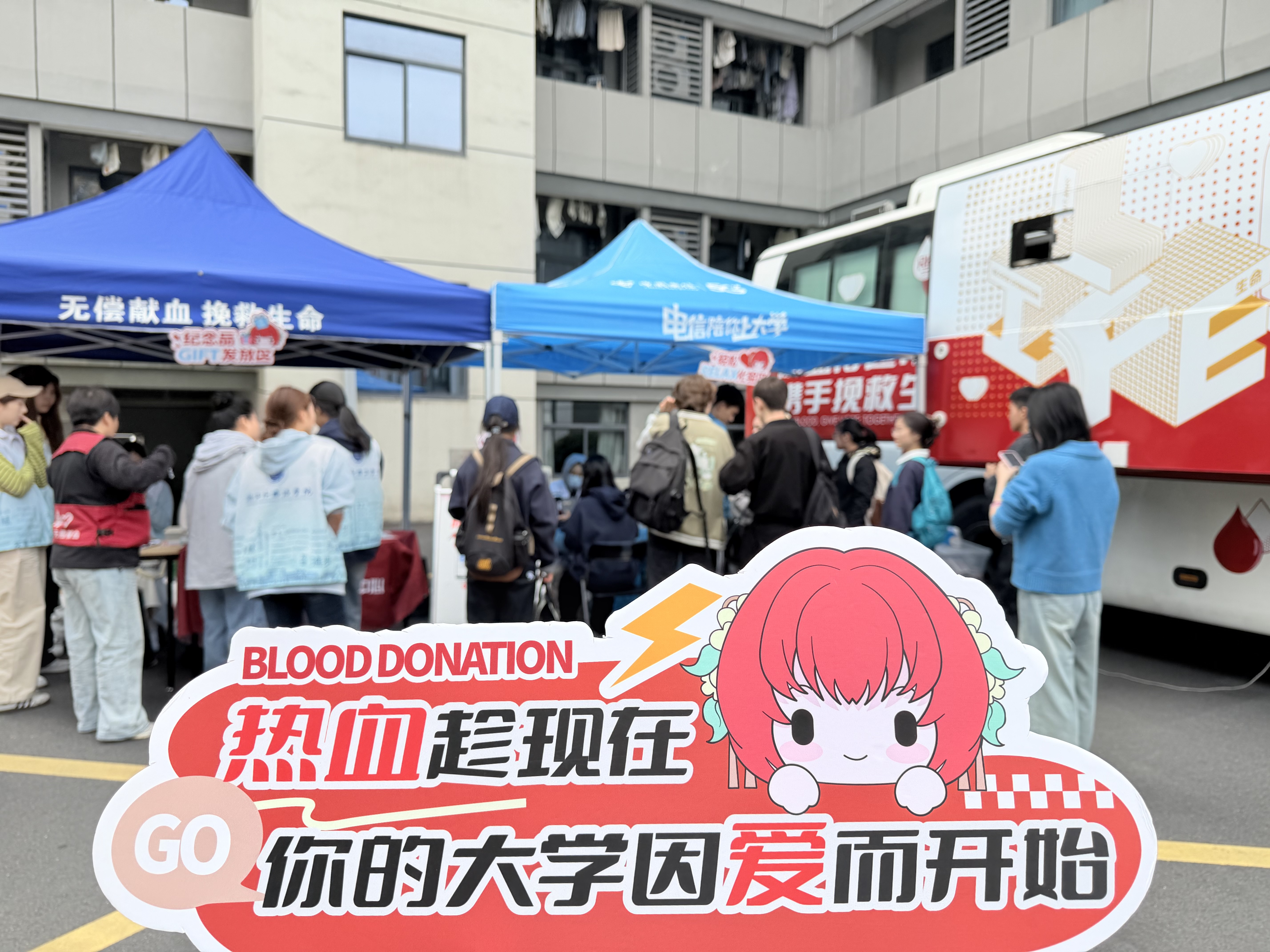 浙外热血现场 | 爱心无国界，这场青春奉献很“国际范”！